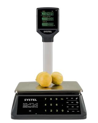 Balanza Systel Micra 30kg Con Mastil - Con bateria