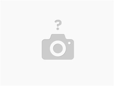 Impresor Térmica de etiquetas Elitronic PL-600 USB + LAN